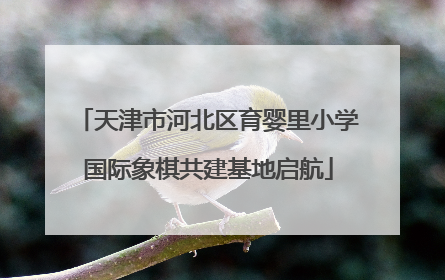天津市河北区育婴里小学国际象棋共建基地启航